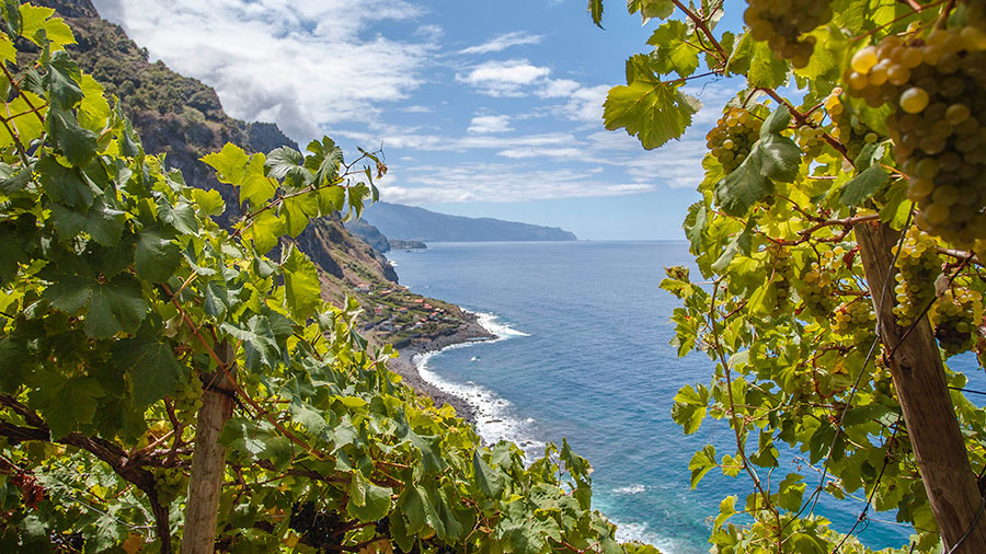 Madeira Why incorporate in Portugal