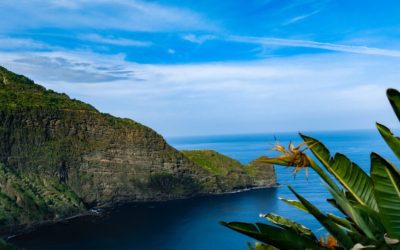 Cost of Living in Madeira Island: A Comprehensive Guide