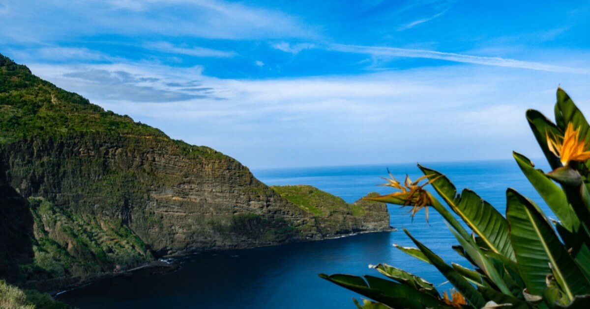 cost of living in madeira