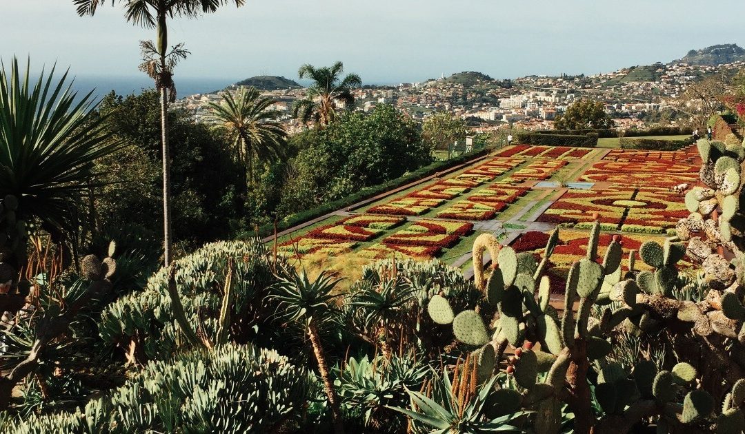 Къде да живея в Португалия? 10 най-добри места, където можете да живеете