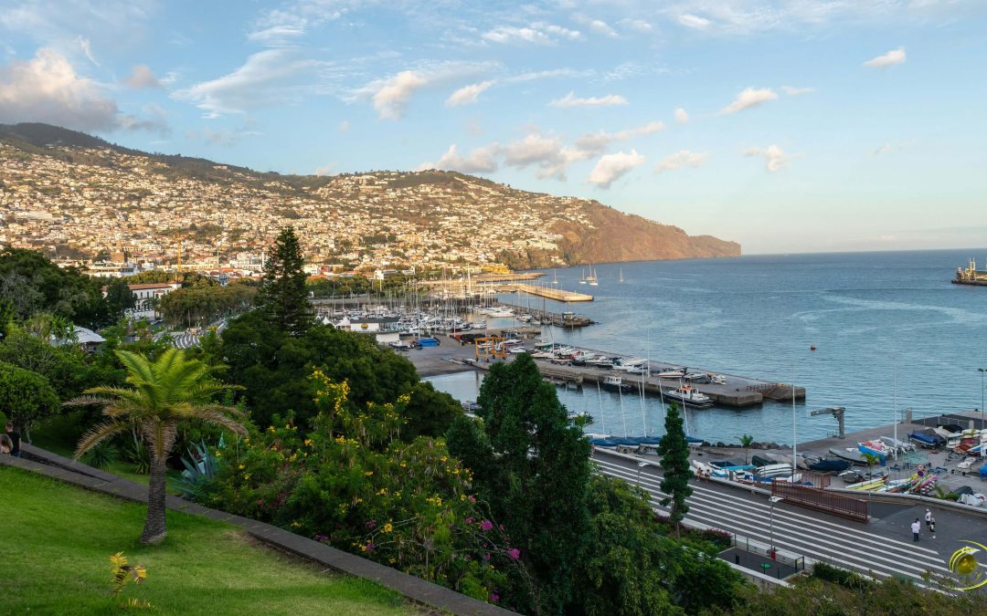 Discover the Idyllic Expat Havens: Exploring the Best Places to Live in Madeira