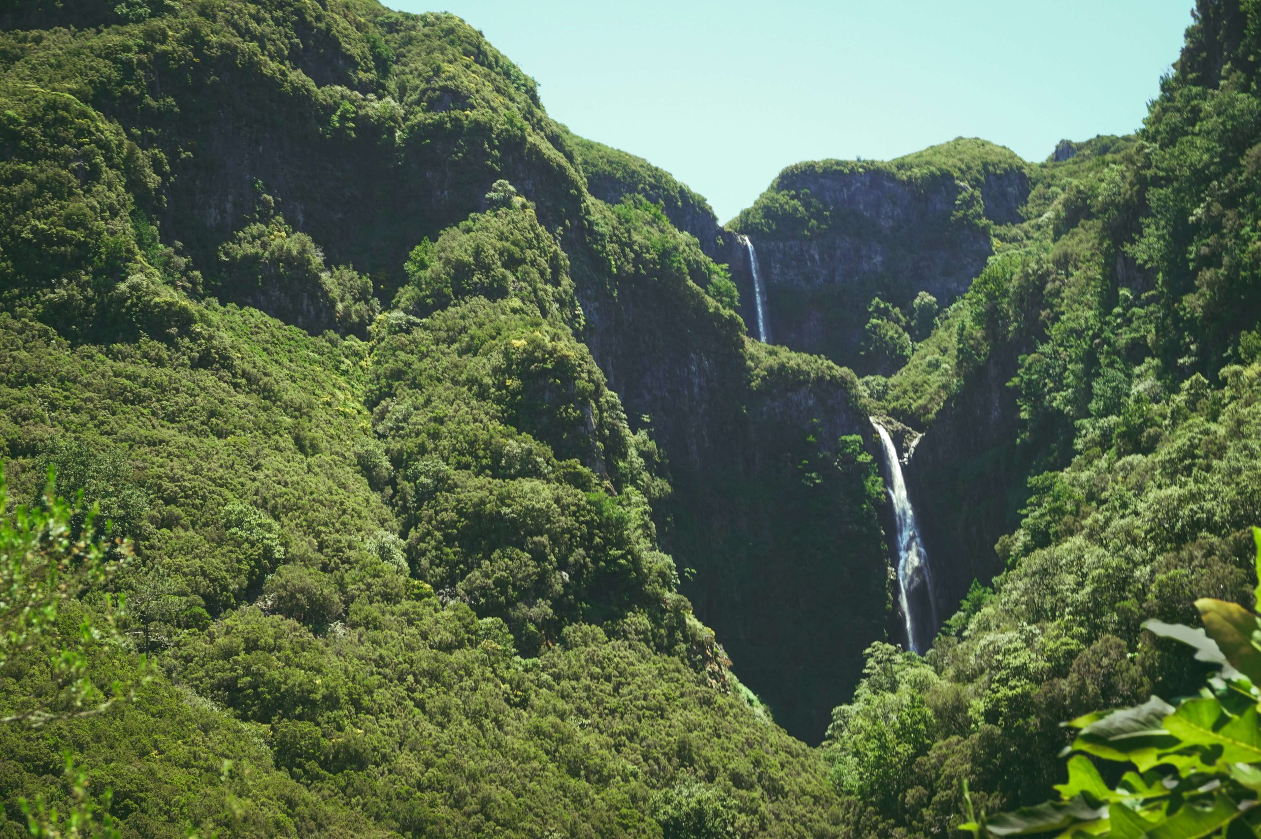 Madeira taxes