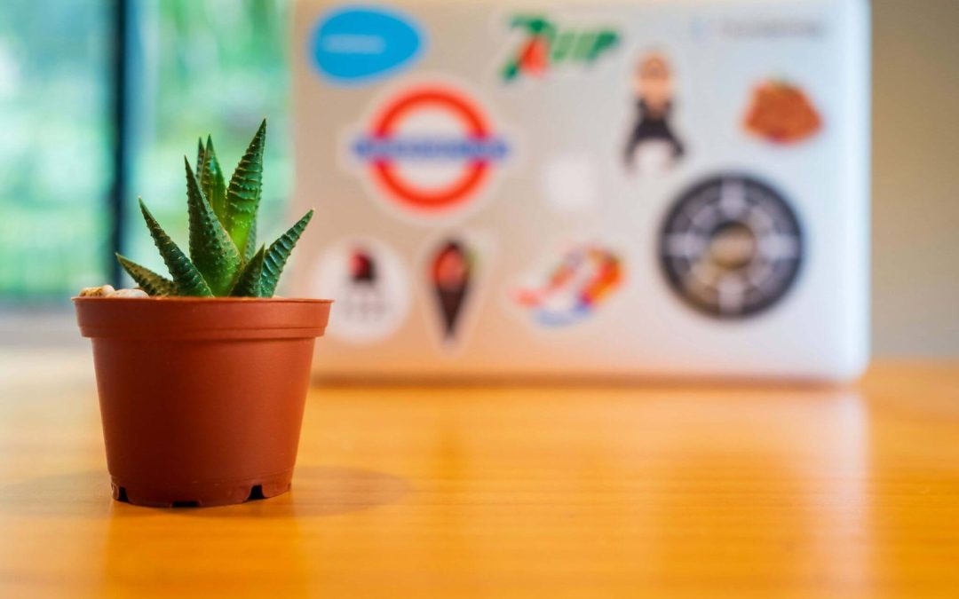 Portugal Startup Guide: Essential Steps for New Entrepreneurs​