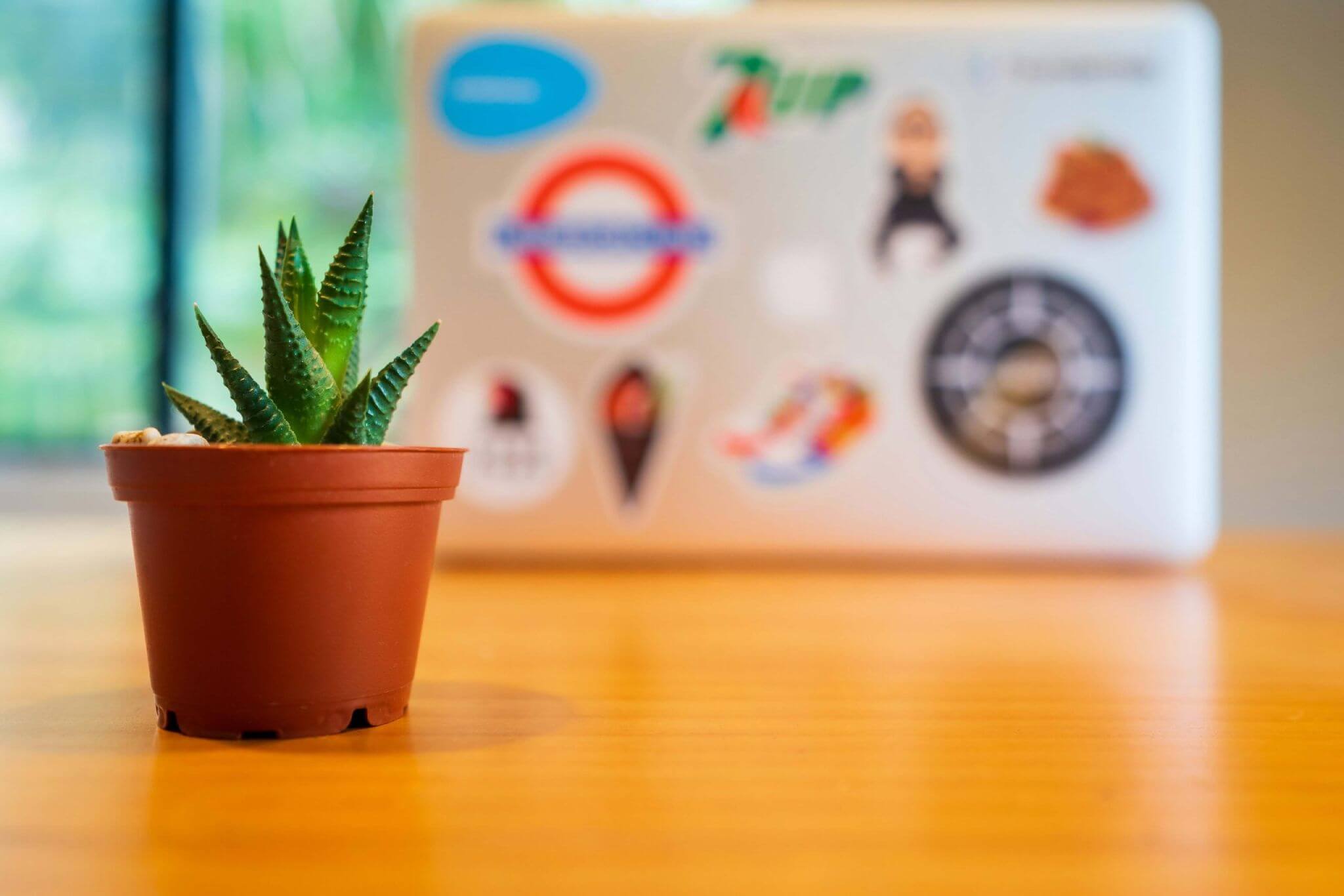 Portugal Startup Guide: Essential Steps for New Entrepreneurs​