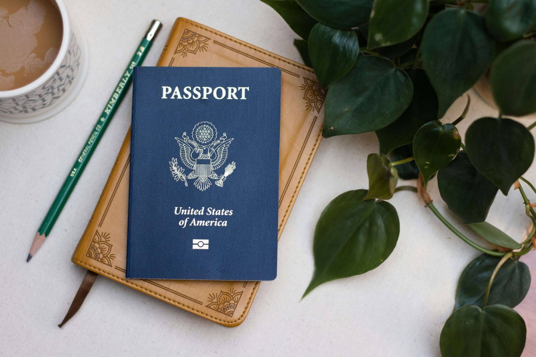 Portugal Business Visa Requirements: Your Path to Entrepreneurial Success in Madeira Island