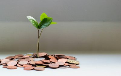 The MIBC’s Economic Substance Requirements