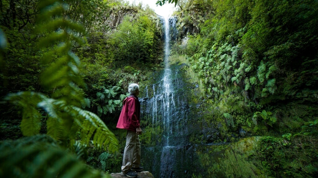 Portugal Vs Costa Rica: Natural Beauty and Outdoor Activities - Levadas in Madeira Island
