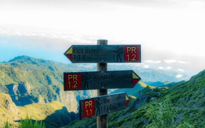 Madeira Income Tax Rate: What Expats and Investors Need to Know