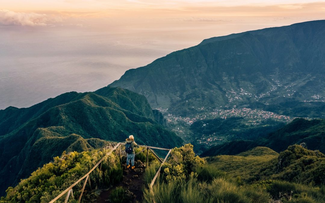 Do You Need a Portuguese Immigration Lawyer? 7 Reasons You Probably Do
