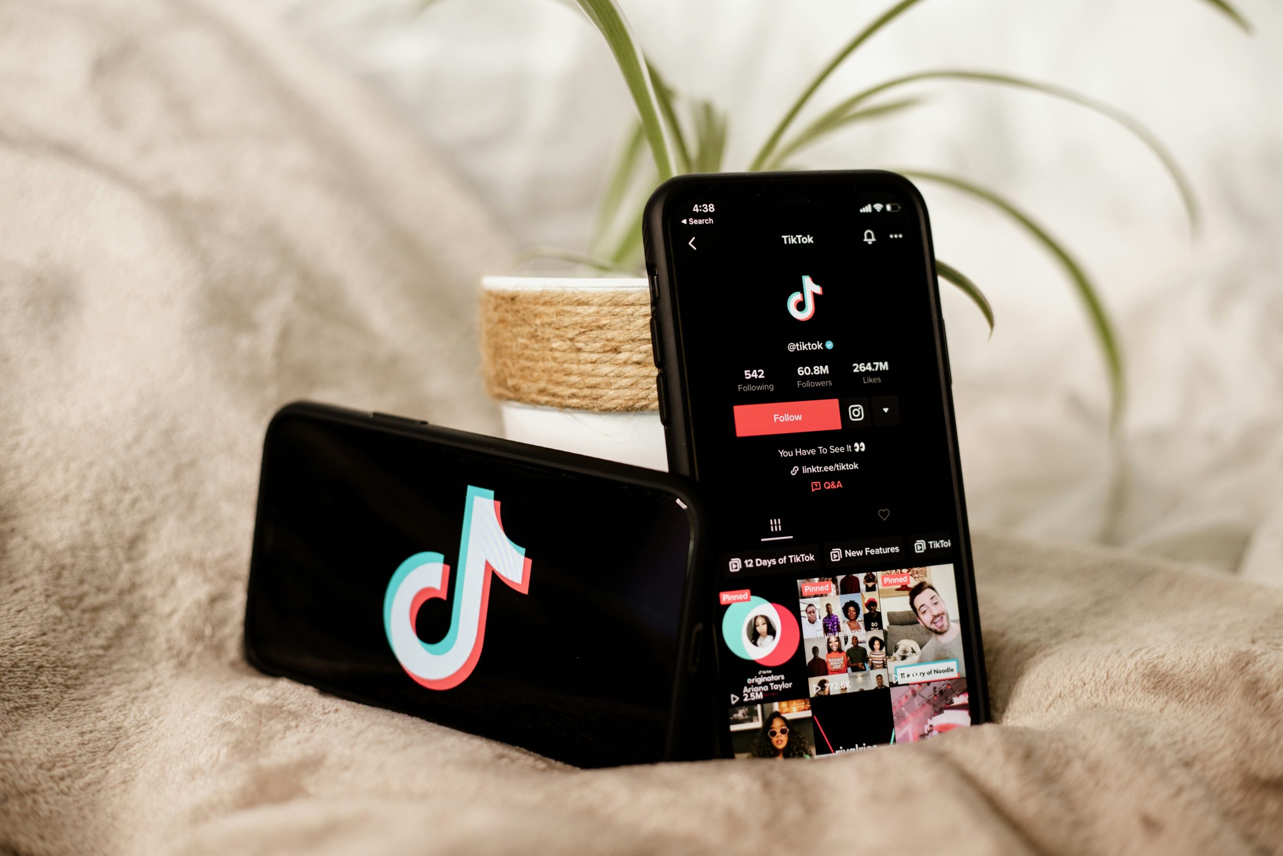 Digital Content Creators in Portugal