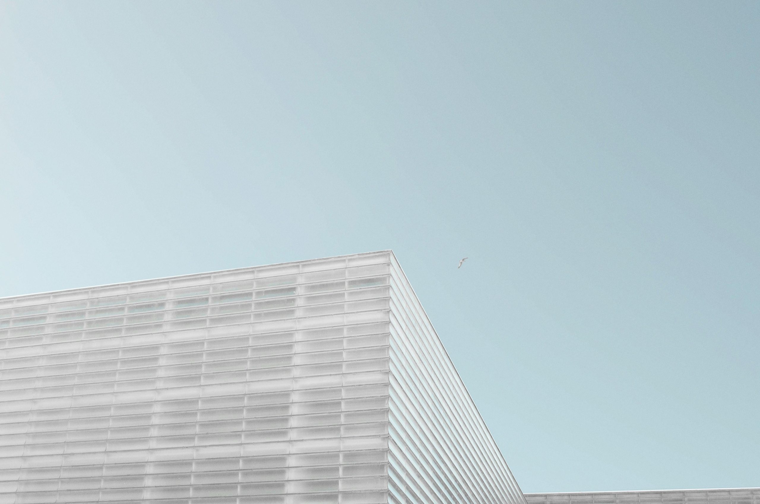 shelf company portugal