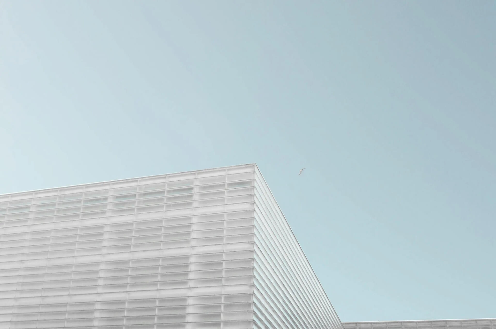 Shelf Company in Portugal: What It Is, How It Works & Should You Buy One?