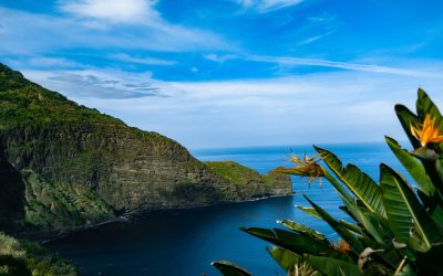 Alojamento Local Suspension in Funchal: What’s at Stake?